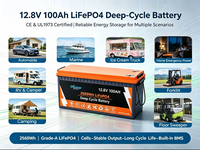 Batería Recargable LiFePO4 de 12V 100Ah 12.8V con BMS Inteligente, 6000 Ciclos, Certificación FCC, en Oferta