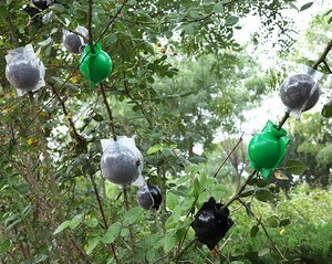 Pianta radicante palla propagazione radice scatola clonatore piante innesto allevamento Seeding contenitore vivaio semi da giardino casse di radice - Product Image 5