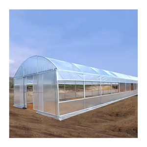 Precio de fábrica más vendido Invernadero de túnel rentable Invernadero de túnel de plástico personalizado de la mejor calidad <span class=keywords><strong>para</strong></span> la venta - Product Image 1