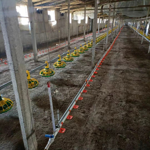 Gia cầm nuôi gà trung chuyển thiết bị hoàn toàn tự động Gà Thịt cho ăn và uống dòng máy móc - Product Image 6