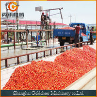 Turnkey fabriek voor de productie van tomaten-chilisaus, industriële machines voor de verwerking van tomatenpuree en ketchup