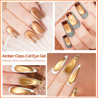 R S Nail New Trending Product 12 colores ámbar clase Cat Eye Gel japonés Nail Art MSDS Nail Art Painting Cat Eye Gel resina pegamento