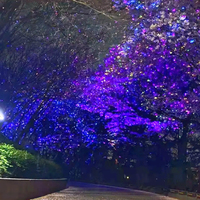 Ciel étoilé luciole projecteur à effet Laser scène parfaite lumières fête mariage parc rue
