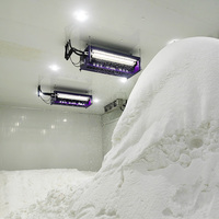 Machine à Neige Artificielle Haute Simulation pour Intérieur, Équipement de Fabrication de Neige Artificielle pour Sites Touristiques, Thème Igloo et Noël