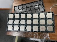 Processeur Core I5 de 12e génération 2024, dernier modèle, pour ordinateur de bureau/portable, 4,4 GHz Turbo, processeur I5 haute performance pour le jeu