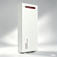 Batterie de stockage d'énergie domestique 10 kWh LiFePO4 murale, alimentation de secours pour système solaire, protection contre les pannes de courant