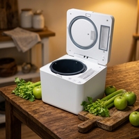 Broyeur de déchets alimentaires domestique 2026 à fonctionnement stable, silencieux et sans lame, avec interrupteur sans fil pour cuisine