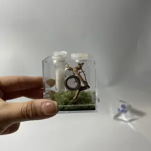 透明跳跃蜘蛛外壳，带滴管，用于昆虫蜘蛛壁虎蝎子吊带螳螂