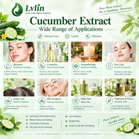 Extrait de Concombre Naturel Liquide Hydratant Apaisant Matière Première pour Tonique Masque Soin de la Peau Savon – Prise en charge OEM Marque Privée