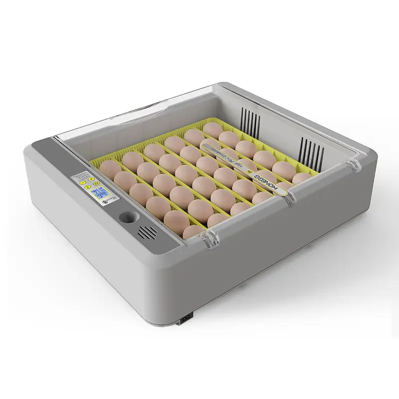 Fabrika fiyat 36 yumurta kapasitesi ile 2024 Wonegg tavuk yumurta kuluçka makinesi teslimat hızlı