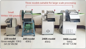 220v Processing and Stainless Ginger Chopper Radish <strong>Sheet</strong> Fried Vegetable Potato Multifunctional <strong>Garlic</strong> Slicer - Product Image 5