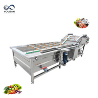 YouBan Multifunctionele Luchtbelwasmachine voor Groenteverwerkingsbedrijven, Motorisch Aangedreven Industriële Fruit- en Groentewasmachine