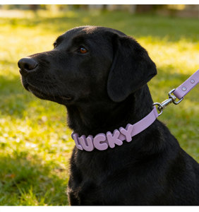 Collier pour chien personnalisable avec breloques interchangeables, <span class=keywords><strong>laisse</strong></span> de promenade pour chien <span class=keywords><strong>en</strong></span> <span class=keywords><strong>biothane</strong></span> imperméable pour animaux de compagnie - Product Image 1