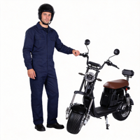 Vélo électrique fabriqué en Chine pour les déplacements quotidiens Vélo électrique à tension 1500W