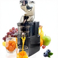 Extracteurs de jus à froid à mastication lente, haute performance, séparation pulpe/jus, pour la préparation de glaces aux fruits, multifonctionnels, usage domestique et commercial