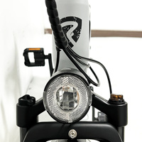Kit de vélo électrique à pneus gras R5 PRO de haute qualité pour adultes, 48V 14AH, moyeu arrière 350W, double suspension, batterie cachée, électronique intelligente