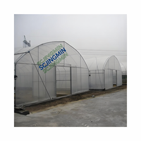 Serre tunnel gothique grande taille à succès, avec film plastique PE anti-âge, montage facile pour légumes de jardin
