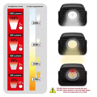Lampe de barbecue LED COB portable, bras flexible à col de cygne à 360 degrés, lumière de travail magnétique en aluminium pour extérieur, indice de protection IP54, 160