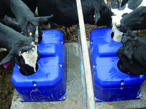 Abreuvoir durable pour équipement d'élevage avec grande capacité et chauffage adapté aux vaches et aux <span class=keywords><strong>moutons</strong></span> - Product Image 6