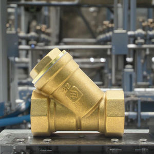 LISHUI Vanne de crépine d'eau manuelle en laiton de type Y Application générale Vannes à bille Structure Filtre à bille - Product Image 2