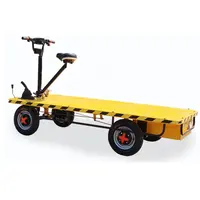 Scooter elétrico de cama plana 3 rodas, triciclo de carga para transporte de vegetais agrícola