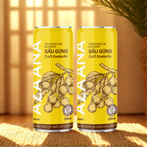 El estilo seco de concentrado de Kombucha con sabor a jengibre de fruta vietnamita ofrece una caja de bebida de jugo deliciosamente picante perfectamente equilibrada - Product Image 6