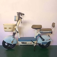 2025 pabrik Cina sepeda listrik & skuter 350W Motor 48V baterai rangka baja fitur elektronik pintar berbagai model