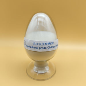 Pupuk Zhongsheng Chitosan KN 85% Murni Langsung dari Pabrik di Shandong untuk Pertanian - Product Image 2