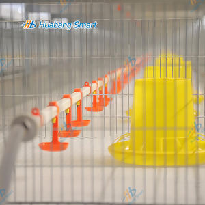 नई डिजाइन अच्छी कीमत चिकन पोल्ट्री ब्रोयलर फार्म एच प्रकार पिंजरे स्वचालित ट्रॉली फ़ीड के साथ - Product Image 6