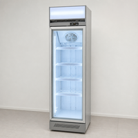 Congélateur commercial vertical pour glaces avec porte vitrée -24°C pour supermarché et épicerie