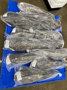 Mermelada Patagónica o Lubina Chilena HGT Producto Pescado Premium - Product Image 5