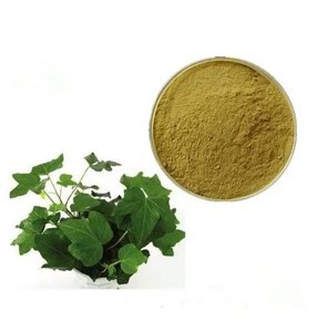 アイビーの葉エキスヘデランゲノサイド10% 5% 20% サポニン - Product Image 4