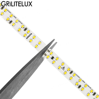 Bande LED en cuivre double rangée haute luminosité 220V avec télécommande SMD2835 240 LED IP67 Ra80 Dimmable 3000K 4000K 6000K pour aménagement paysager