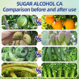 <span class=keywords><strong>Engrais</strong></span> liquide organique à action rapide, à base de glycérol et de calcium, <span class=keywords><strong>pour</strong></span> prévenir la pourriture des fleurs de <span class=keywords><strong>tomate</strong></span> - Product Image 4