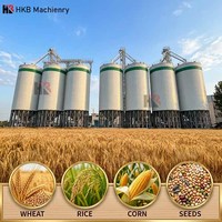 Fabricant leader de silos, silo de stockage de céréales en acier de grande capacité 5000 tonnes, silo vertical pour céréales, prix et coût