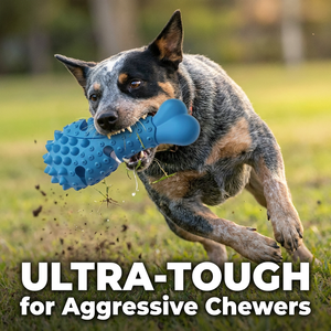 Jouet pour <span class=keywords><strong>chien</strong></span> en forme de poulet à pointes, écologique, durable, pour le nettoyage des dents et la stimulation moléaire - Product Image 4