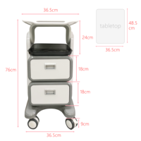 Chariot de Salon Portable, Chariot de Spa, Station de Travail en ABS avec Roues, 2 Tiroirs, Étagère Roulante pour Instruments de Beauté et de Tatouage