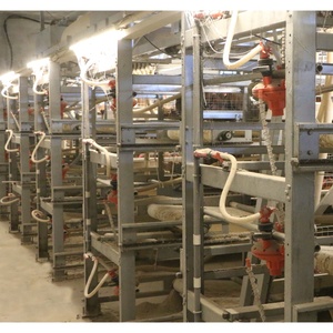 Nuevo Sistema de Cría de Pollos de Engorde Tipo H Totalmente Automático, Construcción de Acero Galvanizado por Inmersión en Caliente, 3/4 Niveles de Ancho - Product Image 5