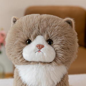 Venta al por mayor <span class=keywords><strong>gato</strong></span> de dibujos animados lindo cara redonda Animal de peluche gris muñeca realista rayas Tabby ojos grandes <span class=keywords><strong>gato</strong></span> muñeca - Product Image 4