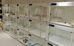 Jaula Espacial Inteligente para Mascotas, Gatos y Perros, Jaula de Crianza con Pantalla de Cabina Inteligente y Luces de <span class=keywords><strong>Tres</strong></span> Colores - Product Image 4