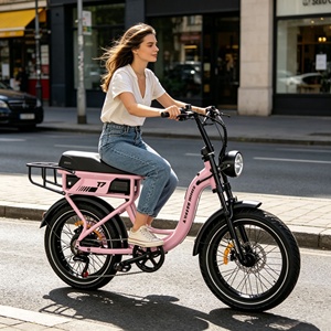 จักรยานไฟฟ้า EU Stock Ebike ขนาดยาง 20"*4.0 ยางใหญ่ แบตเตอรี่ลิเธียม 48V 18Ah จอ LCD รับน้ำหนักได้ 150 กก. จักรยานส่งของในเมืองสำหรับผู้ใหญ่ รุ่น T7 ระยะทางไกล - Product Image 2