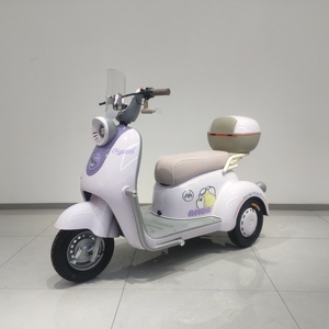 China <strong>Compact</strong> Sized 48V Three Wheeler Electric Adult <strong>Tricycle</strong> Lead Acid Battery Open Body Passenger <strong>Tricycle</strong> - Product Image 1
