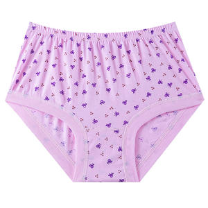 Culotte en coton <span class=keywords><strong>Granny</strong></span> taille haute vieilles femmes slips dames grande taille culotte couverture complète <span class=keywords><strong>Granny</strong></span> sous-vêtements pour personnes âgées - Product Image 4