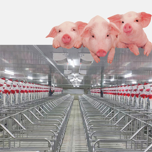 Современное сельскохозяйственное оцинкованное оборудование, свиноматка - Product Image 3