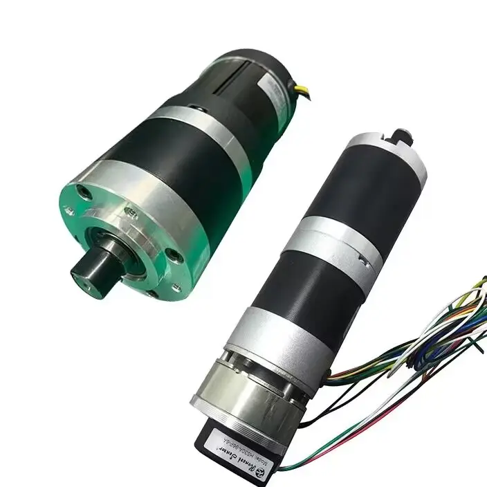 Boyutu 30mm-110mm güç 10w-2000w özelleştirilebilir fırçalanmış fırçasız PM elektrik Dc Motor CE RoHS 12vdc 24vdc 36vdc 6060vdc