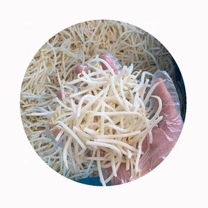 Ortaggi freschi cinesi a prezzo ragionevole coltivati con cura germogli di soia surgelati IQF biologici - Product Image 1