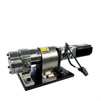 Pompe doseuse à engrenages de haute précision en fer/SUS304/SUS316 avec servomoteur pour distribution de liquides visqueux, fabriquée en Chine