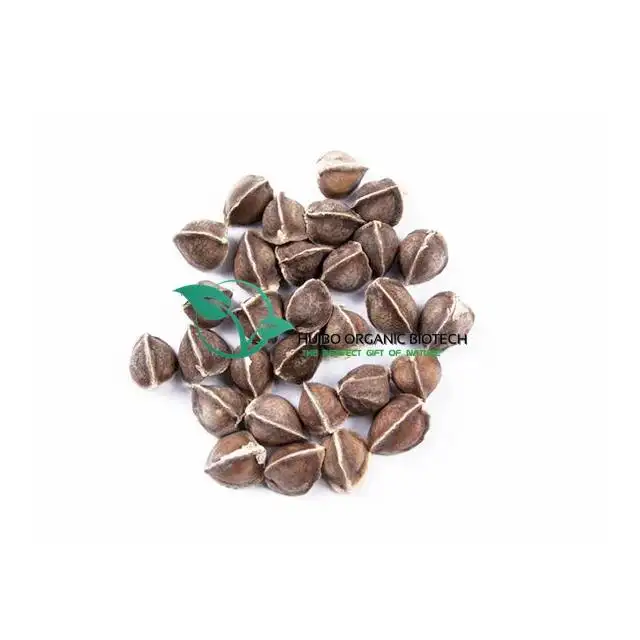 זרעי המורינגה מכונפת/בתפזורת זרעי מורינגה המחירים הטובים ביותר למכירה