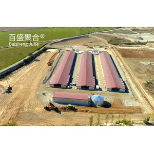 Design Poultry Farm Chicken Coop A Type Large Capacity Egg Laying Hens Layer Chicken Cage For 1000 5000 10000 Birds