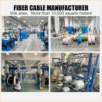 Cable de Fibra Óptica Monomodo de 2, 4, 6, 8, 12, 24 Núcleos, GYFXTY G652, Cable de Fibra Óptica para Exteriores de 24 Núcleos